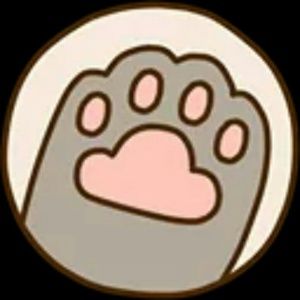 Bundle and pay lower price (Name Brand Clothing)